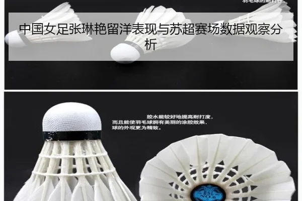 中国女足张琳艳留洋表现与苏超赛场数据观察分析