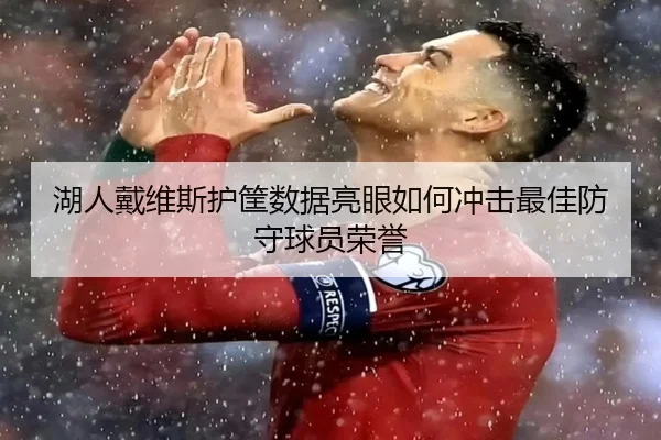 湖人戴维斯护筐数据亮眼如何冲击最佳防守球员荣誉